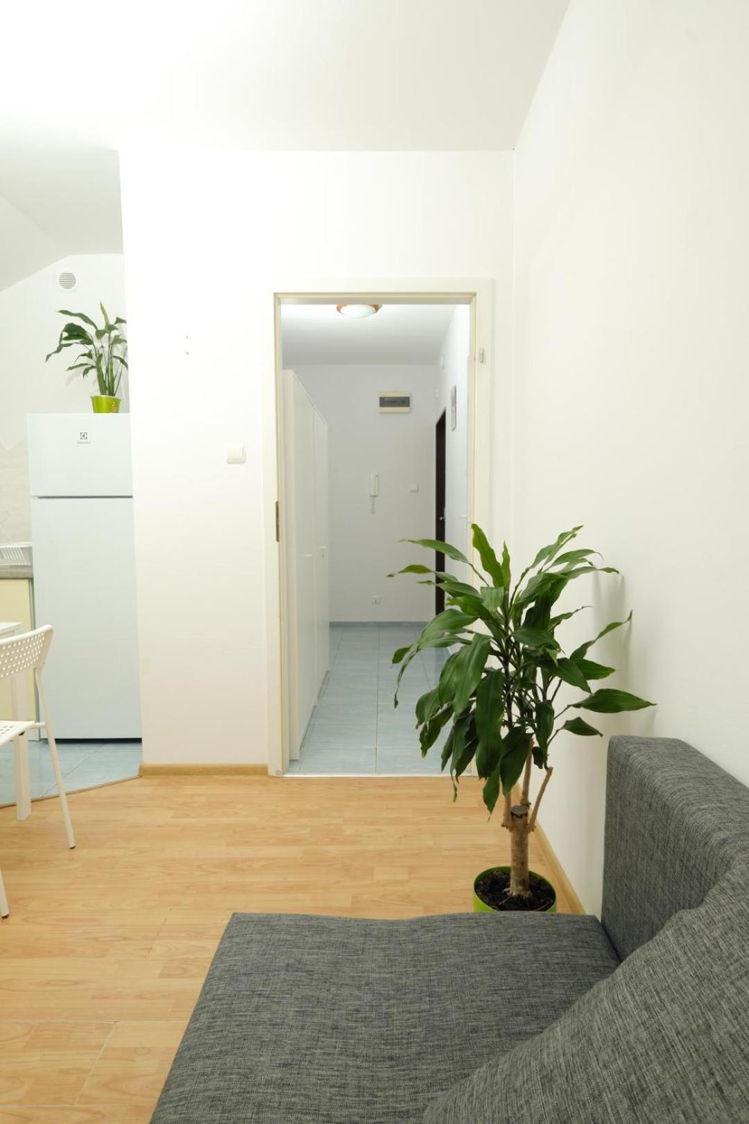 Apartament Sloneczny 7 أوبولي المظهر الخارجي الصورة